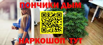 сатива Усть-Джегута