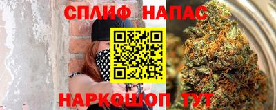 сатива Усть-Джегута