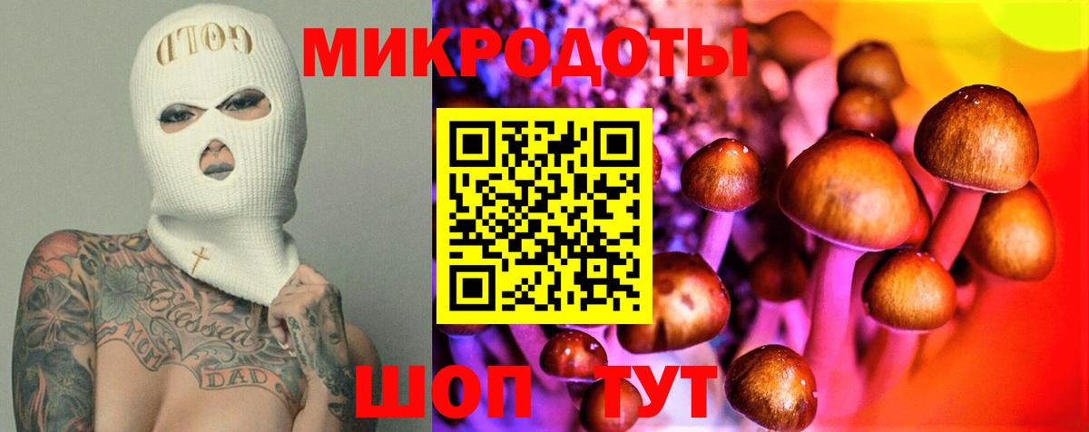где купить наркотик  Галлюциногенные грибы Psilocybe  Вход с VPN  Октябрьский 